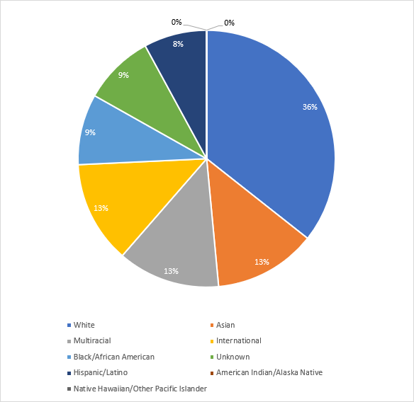 2022-2023 Race Pie Chart