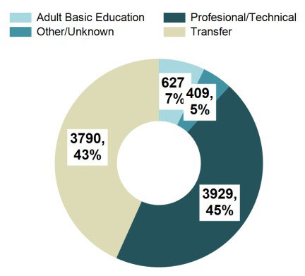 Student Pathway: Transfer, Professional and Technical, Adult Basic Education, Other