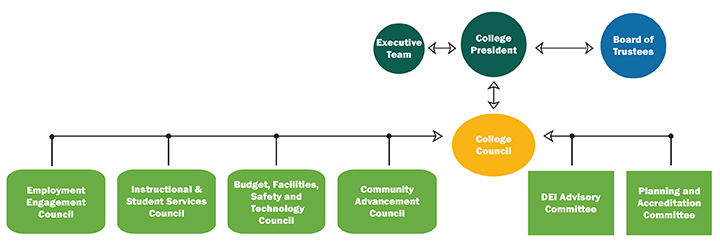 participatory governance chart