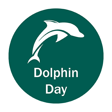 Dolphin Days Bubble