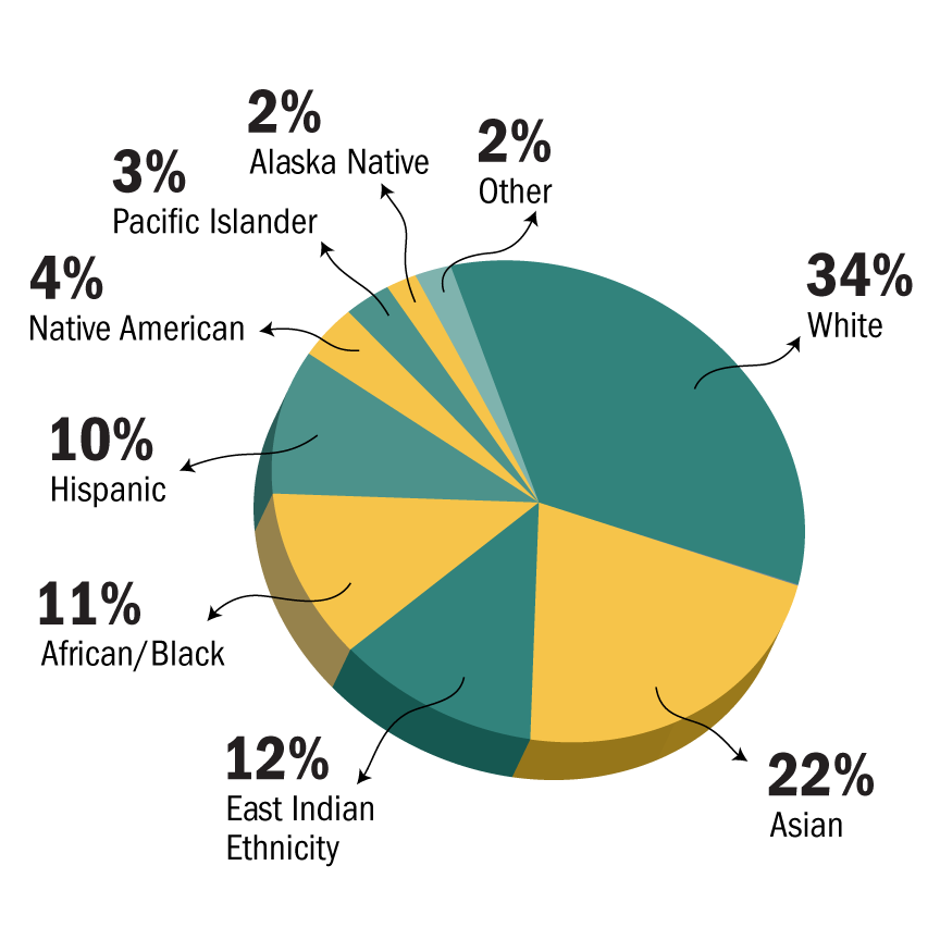 diversity pie chart